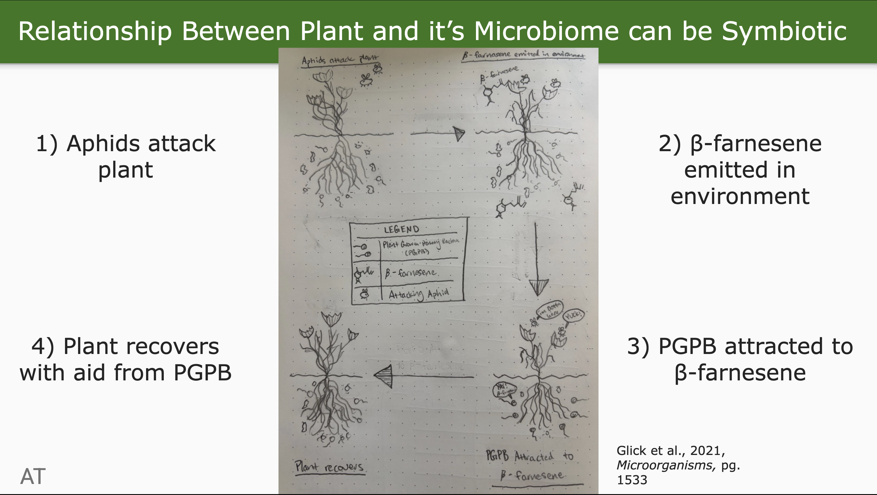 Slide 8